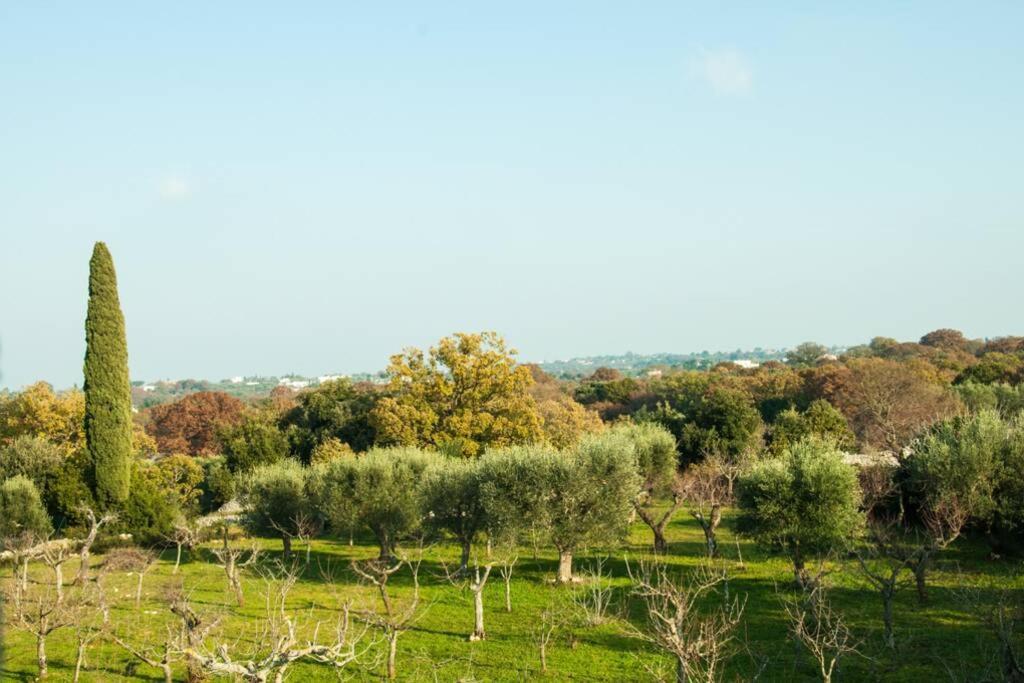 Il Pero Villa Monopoli Exterior foto
